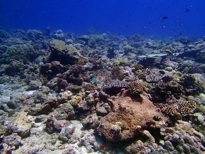 Image 22