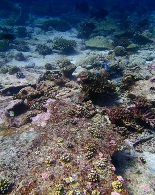 Image 15