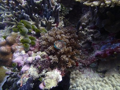 Image 13