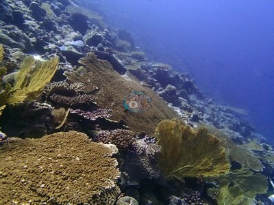 Image 9