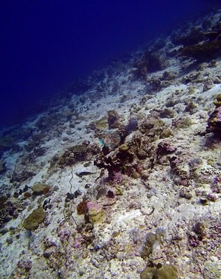Image 13