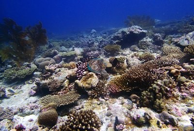Image 18
