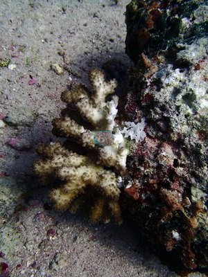 Image 14