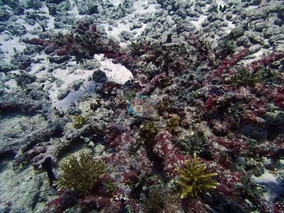 Image 13