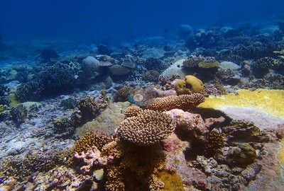 Image 13