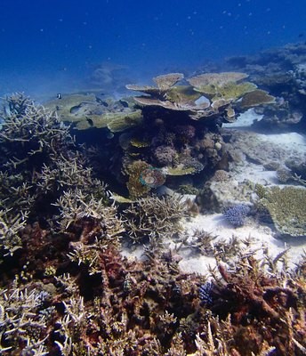 Image 13