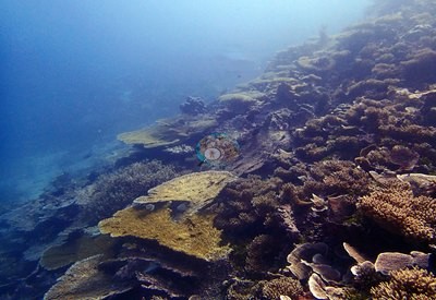Image 22