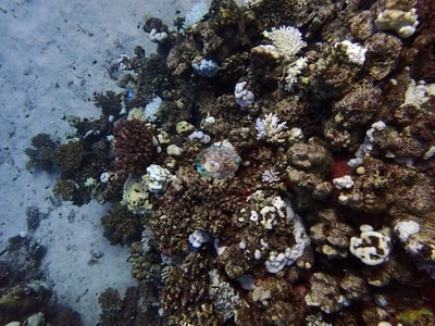Image 9