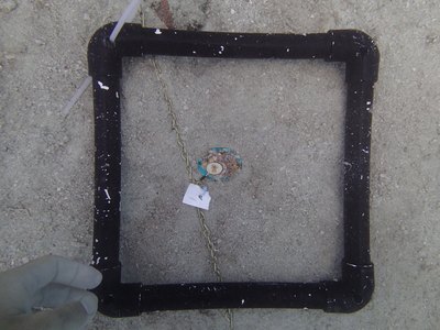Image 14