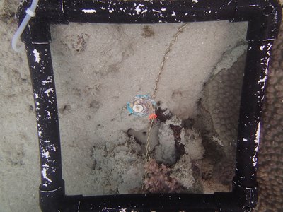Image 15