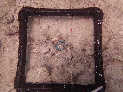 Image 22