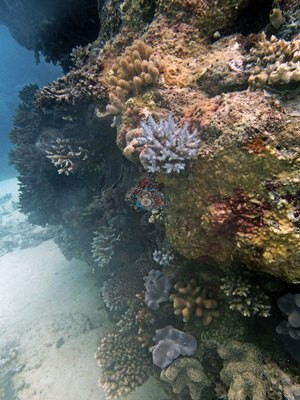 Image 10