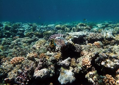 Image 18