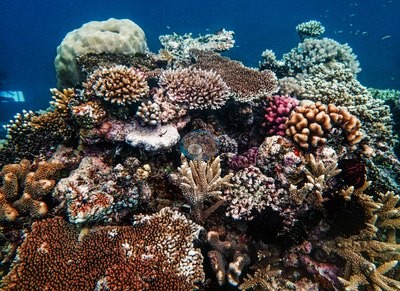 Image 13
