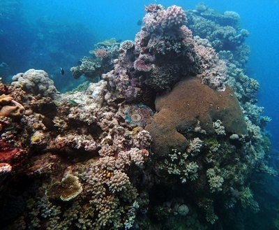 Image 8