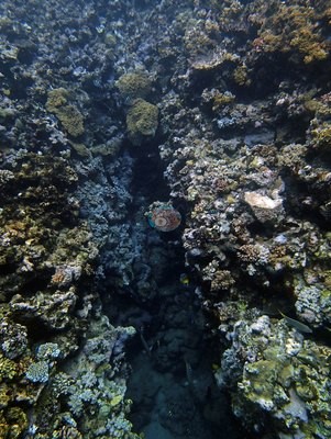 Image 22