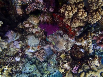Image 9