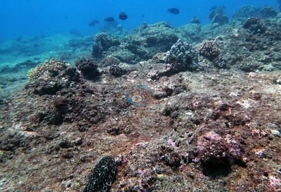 Image 13