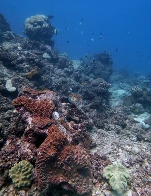 Image 18