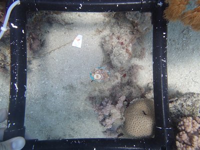 Image 13
