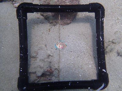 Image 14