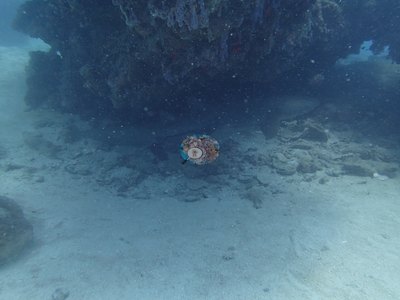 Image 18