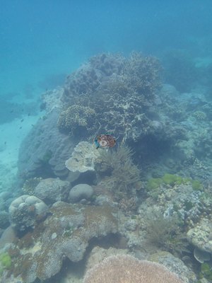 Image 21
