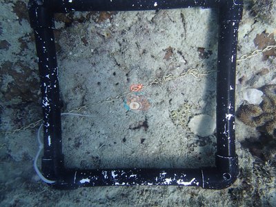 Image 22