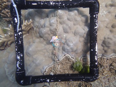 Image 39