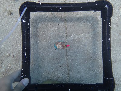 Image 46