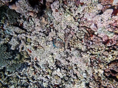 Image 14