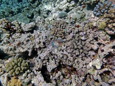 Image 15