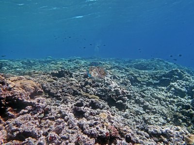 Image 21