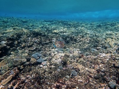 Image 22
