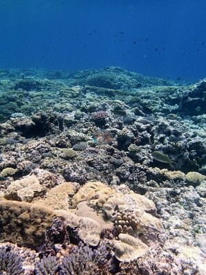Image 23