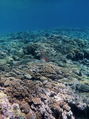 Image 24