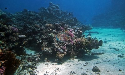 Image 15