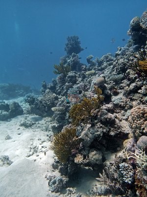 Image 9