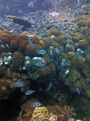 Image 13