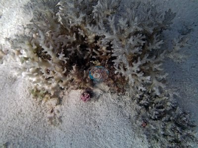 Image 13