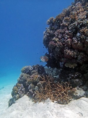 Image 9