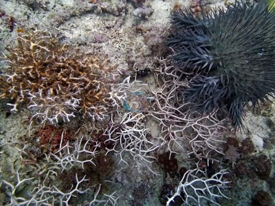 Image 9