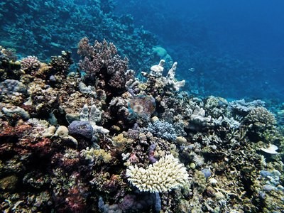 Image 15
