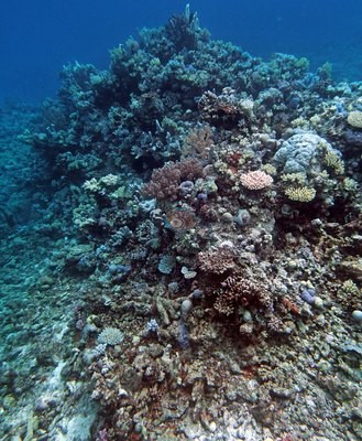Image 18