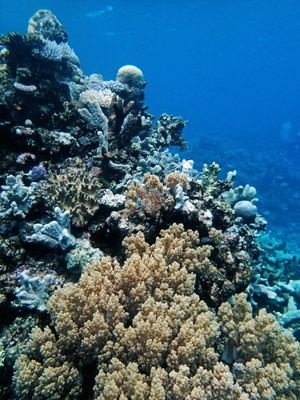 Image 22