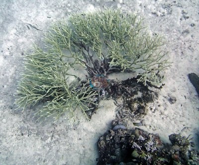 Image 9