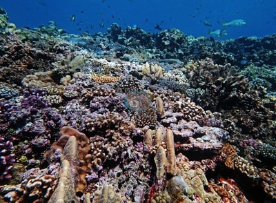 Image 13