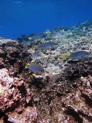 Image 22