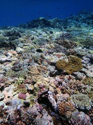 Image 23