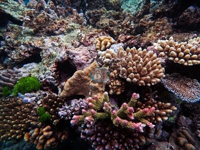 Image 12